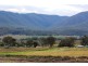 Lot 444 Top Swanfels Rd, Swanfels QLD 4371