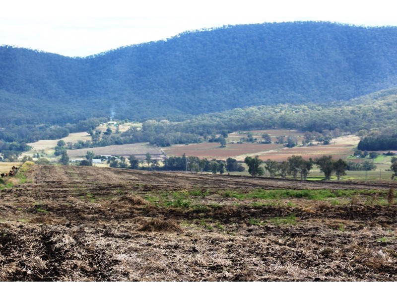 Lot 444 Top Swanfels Rd, Swanfels QLD 4371
