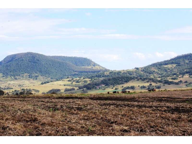 Lot 444 Top Swanfels Rd, Swanfels QLD 4371