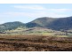 Lot 444 Top Swanfels Rd, Swanfels QLD 4371