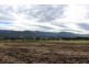 Lot 444 Top Swanfels Rd, Swanfels QLD 4371