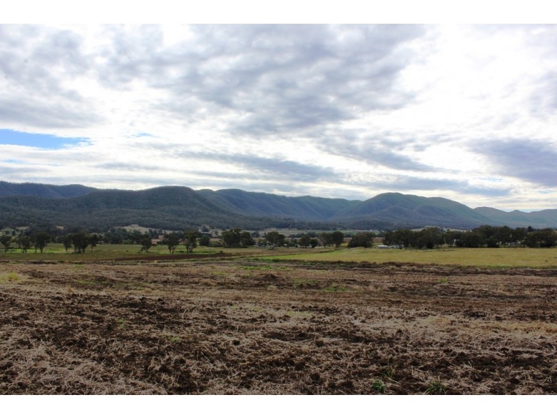 Lot 444 Top Swanfels Rd, Swanfels QLD 4371