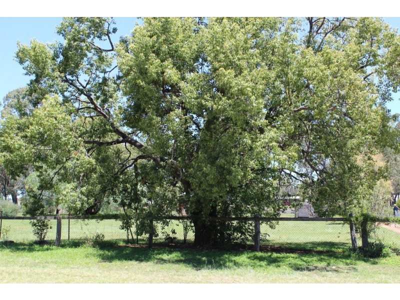 Lots 123 and 128 Barron Street, Hendon QLD 4362