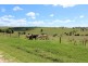 Lot 11 Rose Street, Killarney QLD 4373