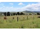 Lot 11 Rose Street, Killarney QLD 4373
