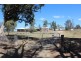 398 Warwick Killarney Road, Morgan Park QLD 4370