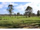 143 Old Stanthorpe Rd, Morgan Park QLD 4370