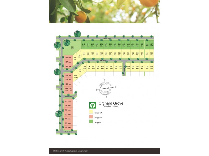 Lot 131 Chant Drv, Rosenthal Heights QLD 4370