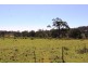 0 Puglisi Rd, Dalveen QLD 4374