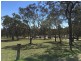 21153 New England Hwy, The Glen QLD 4370