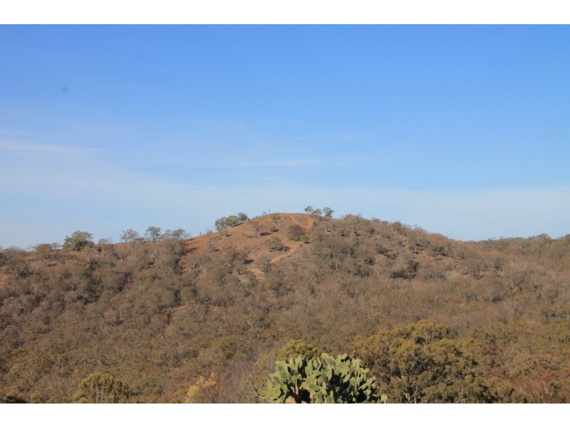 21153 New England Hwy, The Glen QLD 4370