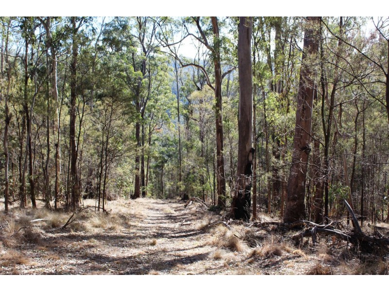 0 Top Swanfels Rd, Yangan QLD 4371