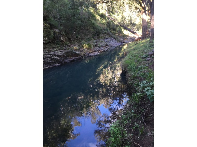 0 Top Swanfels Rd, Yangan QLD 4371