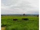 1424 Junabee Rd, Junabee QLD 4370
