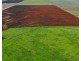 1424 Junabee Rd, Junabee QLD 4370