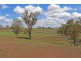 15 Allen’s Rd, Sladevale QLD 4370