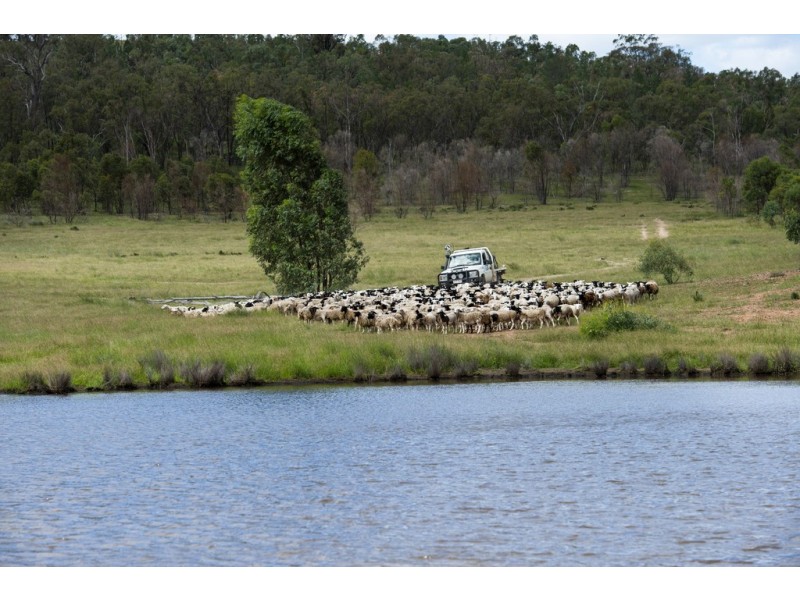 51 Spring Creek Rd, Cement Mills QLD 4352