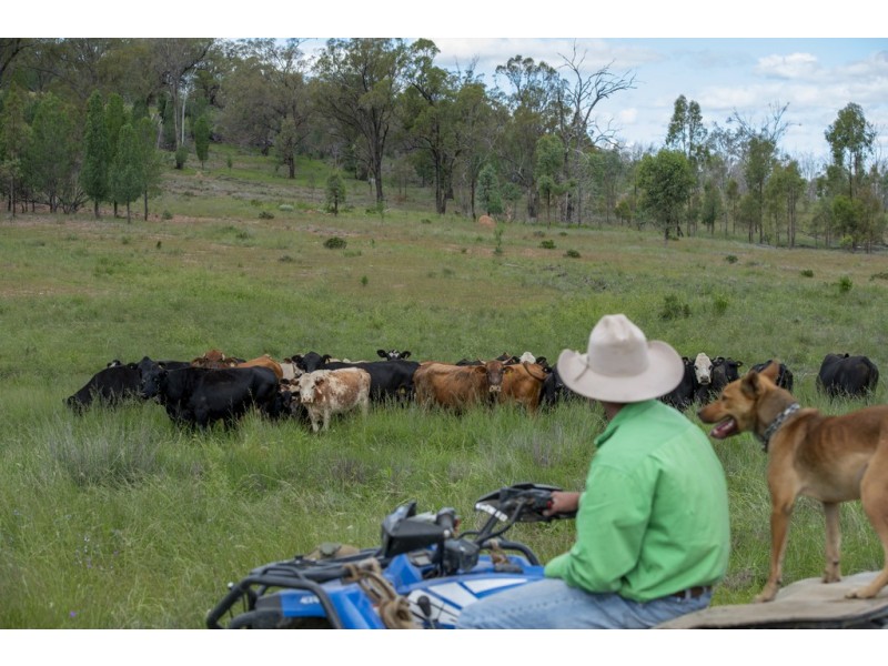 51 Spring Creek Rd, Cement Mills QLD 4352