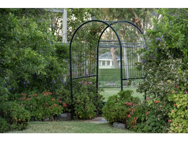 51 Spring Creek Rd, Cement Mills QLD 4352