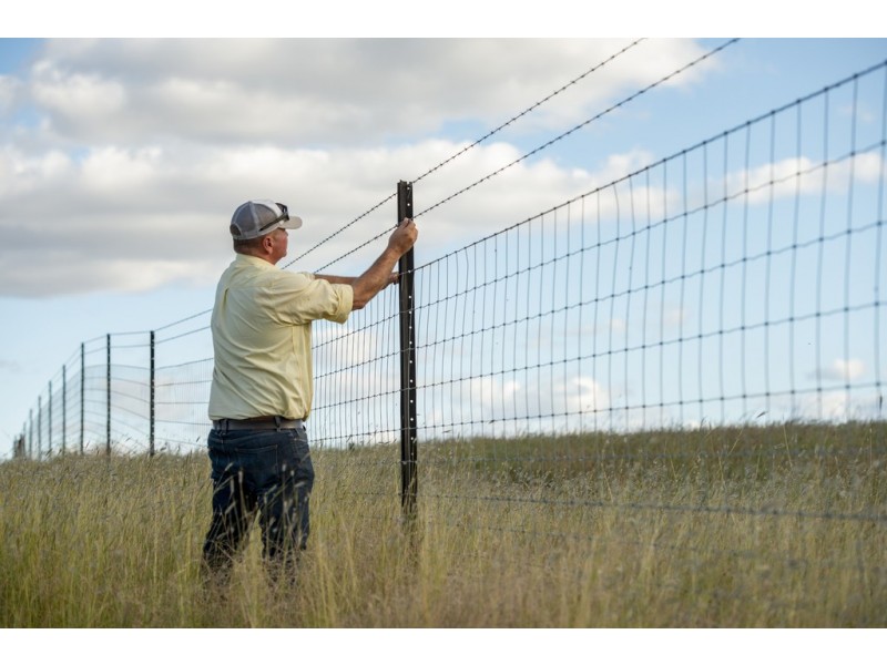 51 Spring Creek Rd, Cement Mills QLD 4352