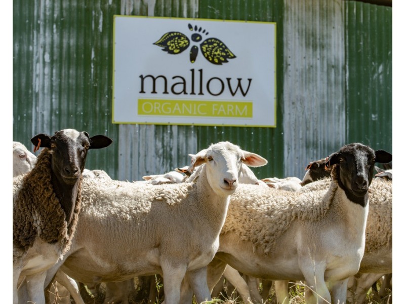 1957 Texas Rd, Greenlands QLD 4380