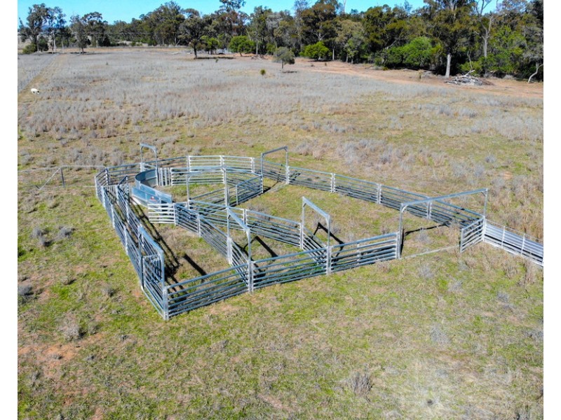 40 Lewtys Road, Inglewood QLD 4387