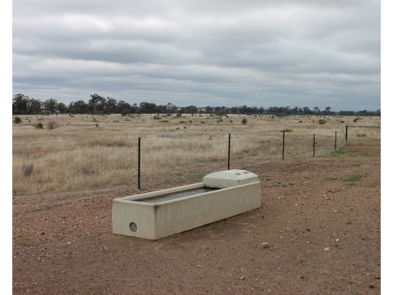 40 Lewtys Road, Inglewood QLD 4387