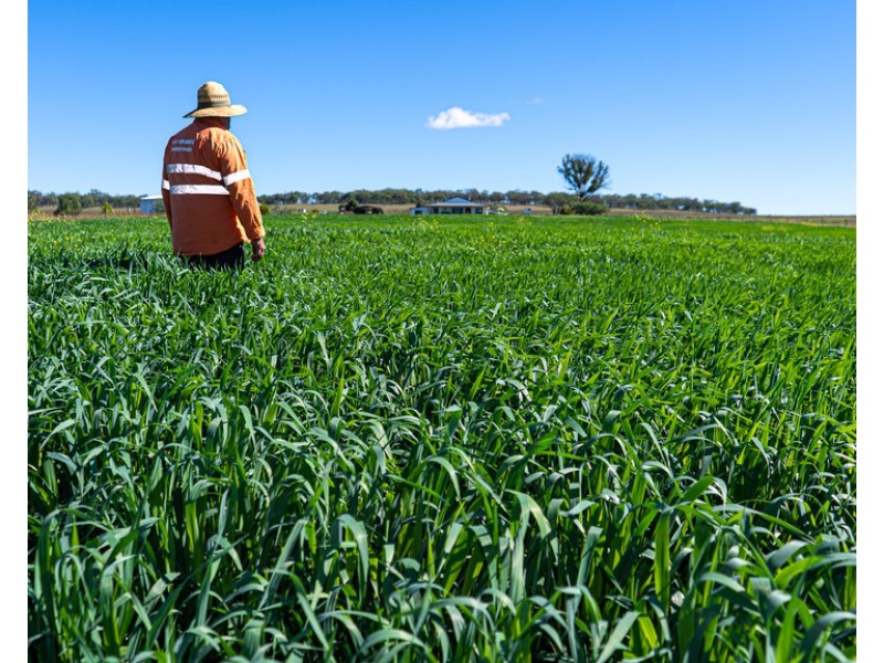 286/43 Hoey Road, Spring Creek QLD 4361