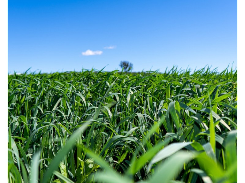 286/43 Hoey Road, Spring Creek QLD 4361