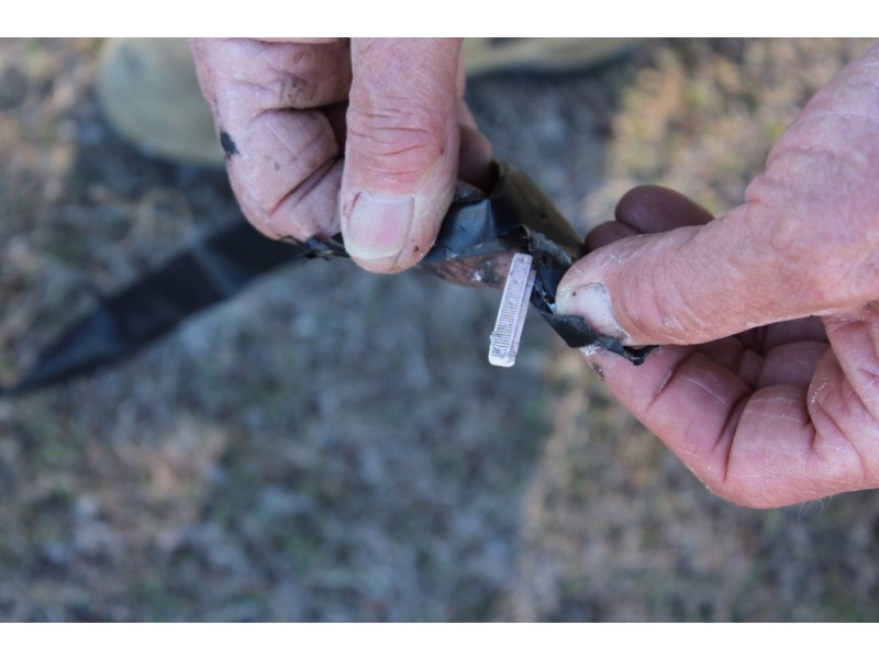 47 Woods Rd, Elbow Valley QLD 4370