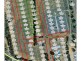 750 Dalrymple Creek Road, Ellinthorp QLD 4362