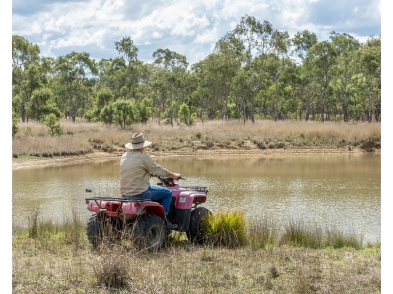694 Warwick – Killarney Rd, Morgan Park QLD 4370