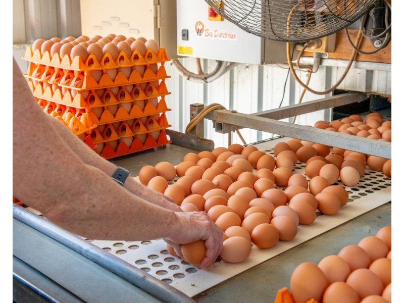 694 Warwick – Killarney Rd, Morgan Park QLD 4370