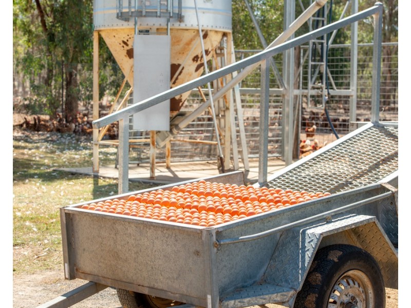 694 Warwick – Killarney Rd, Morgan Park QLD 4370