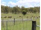 22 Woodford Drv, Cunningham QLD 4370