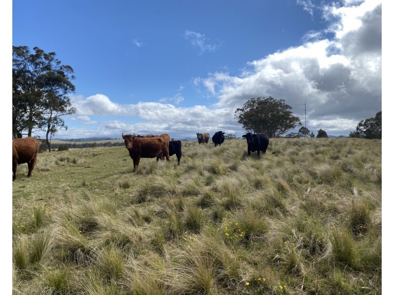 L840 Sunday Plains Road, Mount Colliery QLD 4370