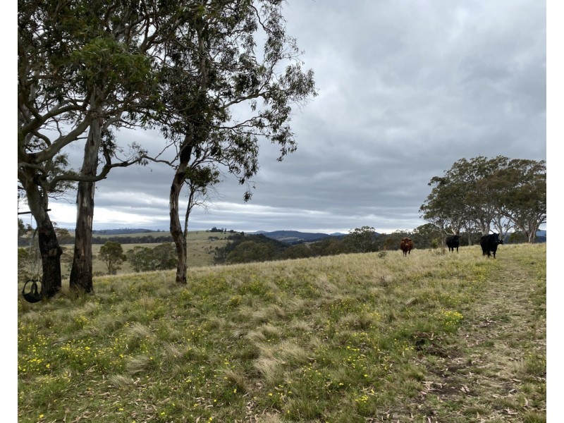 L840 Sunday Plains Road, Mount Colliery QLD 4370