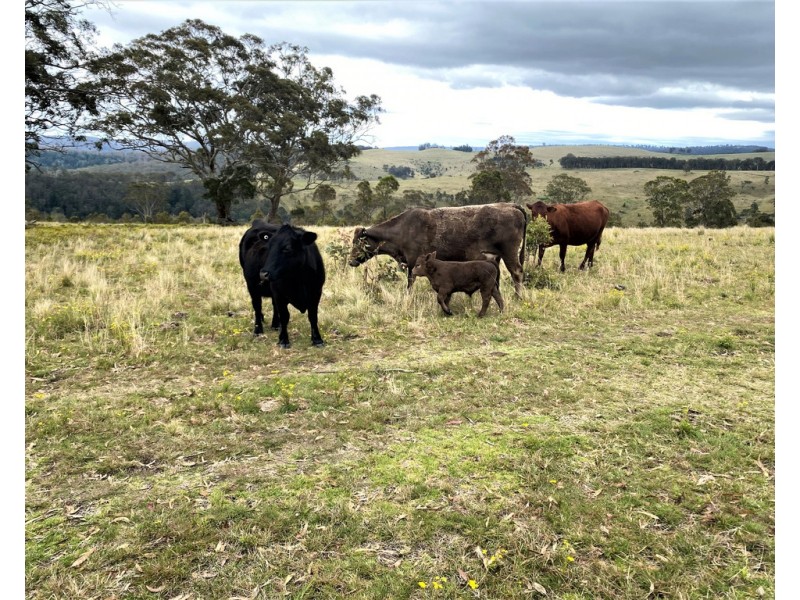 L840 Sunday Plains Road, Mount Colliery QLD 4370