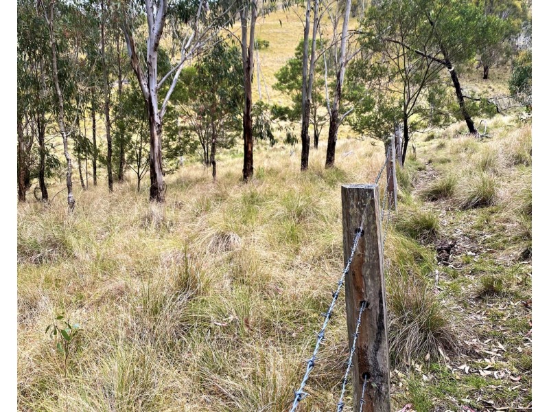 L840 Sunday Plains Road, Mount Colliery QLD 4370