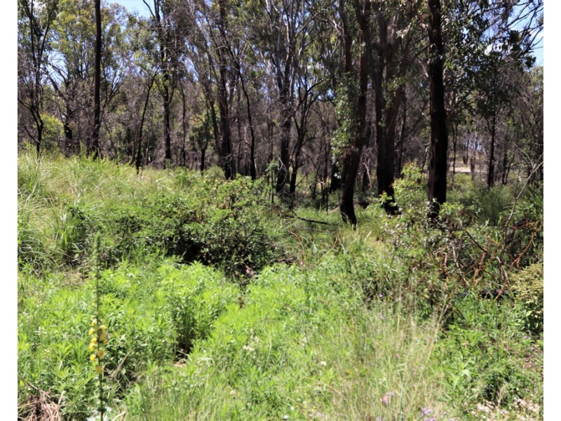 Lot 2 Hopgoods Road, Elbow Valley QLD 4370