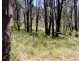 Lot 2 Hopgoods Road, Elbow Valley QLD 4370