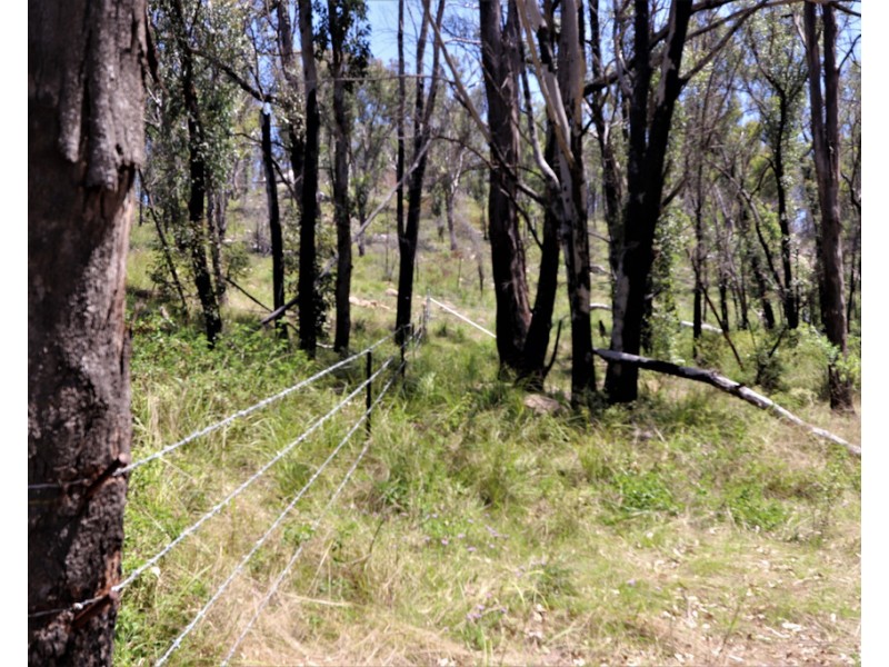 Lot 2 Hopgoods Road, Elbow Valley QLD 4370