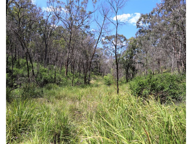 Lot 2 Hopgoods Road, Elbow Valley QLD 4370