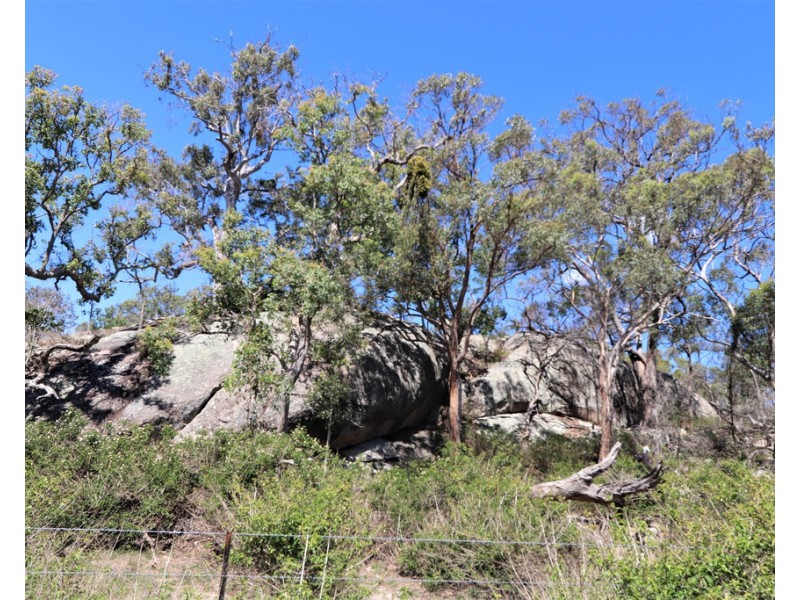 Lot 2 Hopgoods Road, Elbow Valley QLD 4370