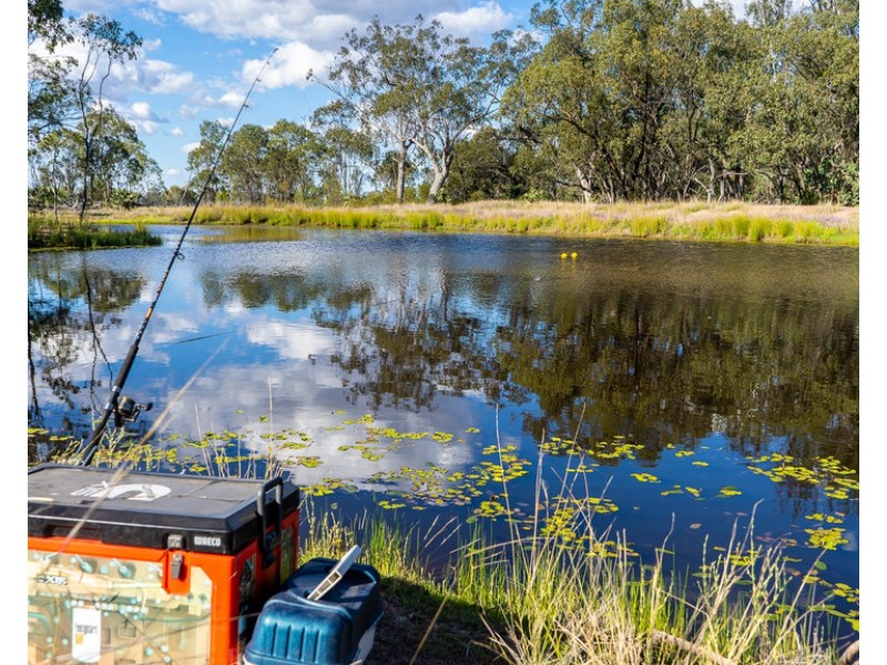 40 Twidale Lane, Leyburn QLD 4365