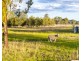 40 Twidale Lane, Leyburn QLD 4365