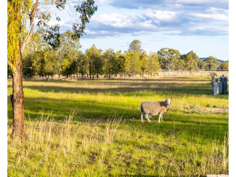 40 Twidale Lane, Leyburn QLD 4365
