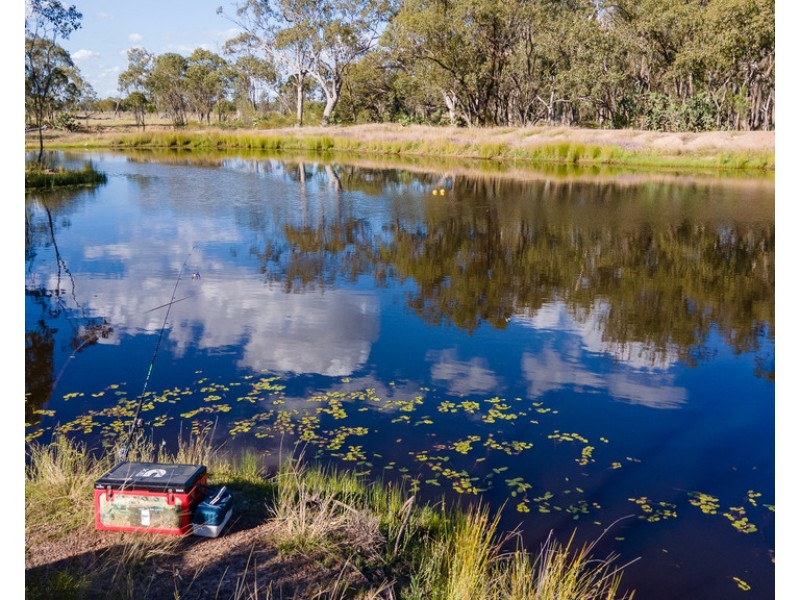 40 Twidale Lane, Leyburn QLD 4365