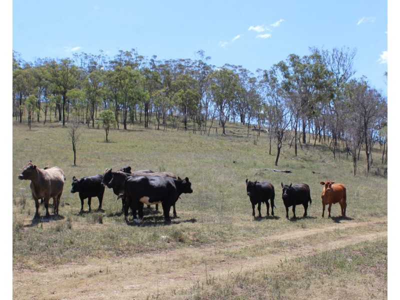 21035 New England Hwy, The Glen QLD 4370