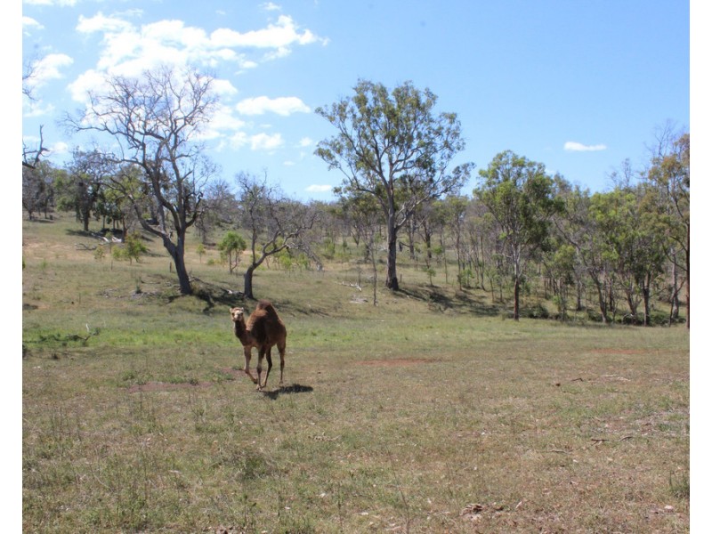 21035 New England Hwy, The Glen QLD 4370